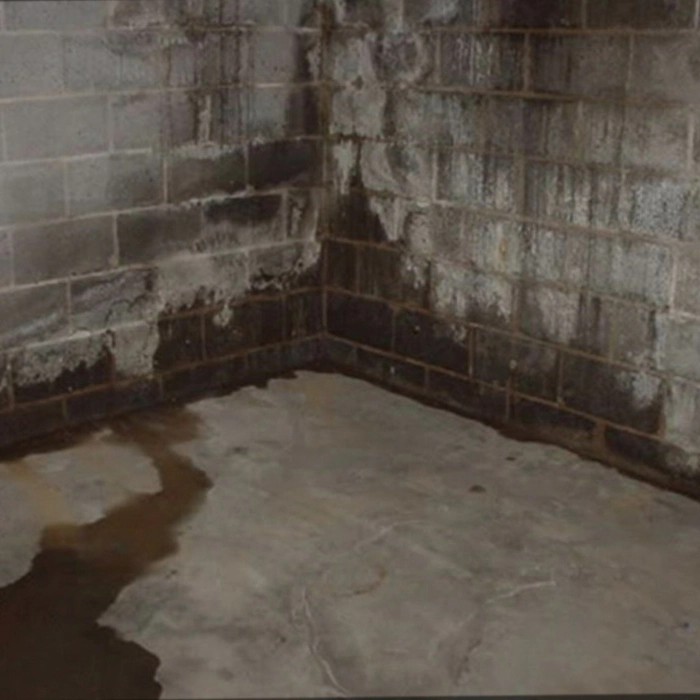 waterproofing on basement
